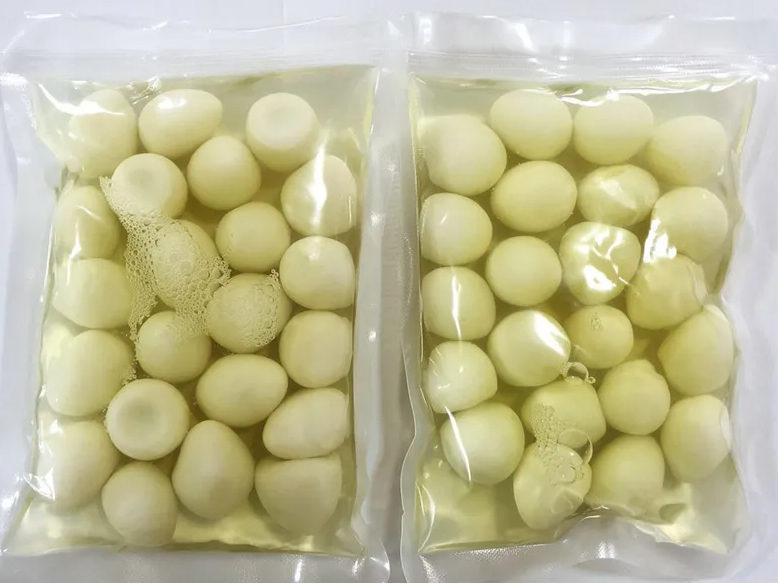 绥滨河南省武陟县鹌鹑蛋厂家生产用水处理指南